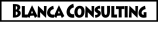 blancac-consulting